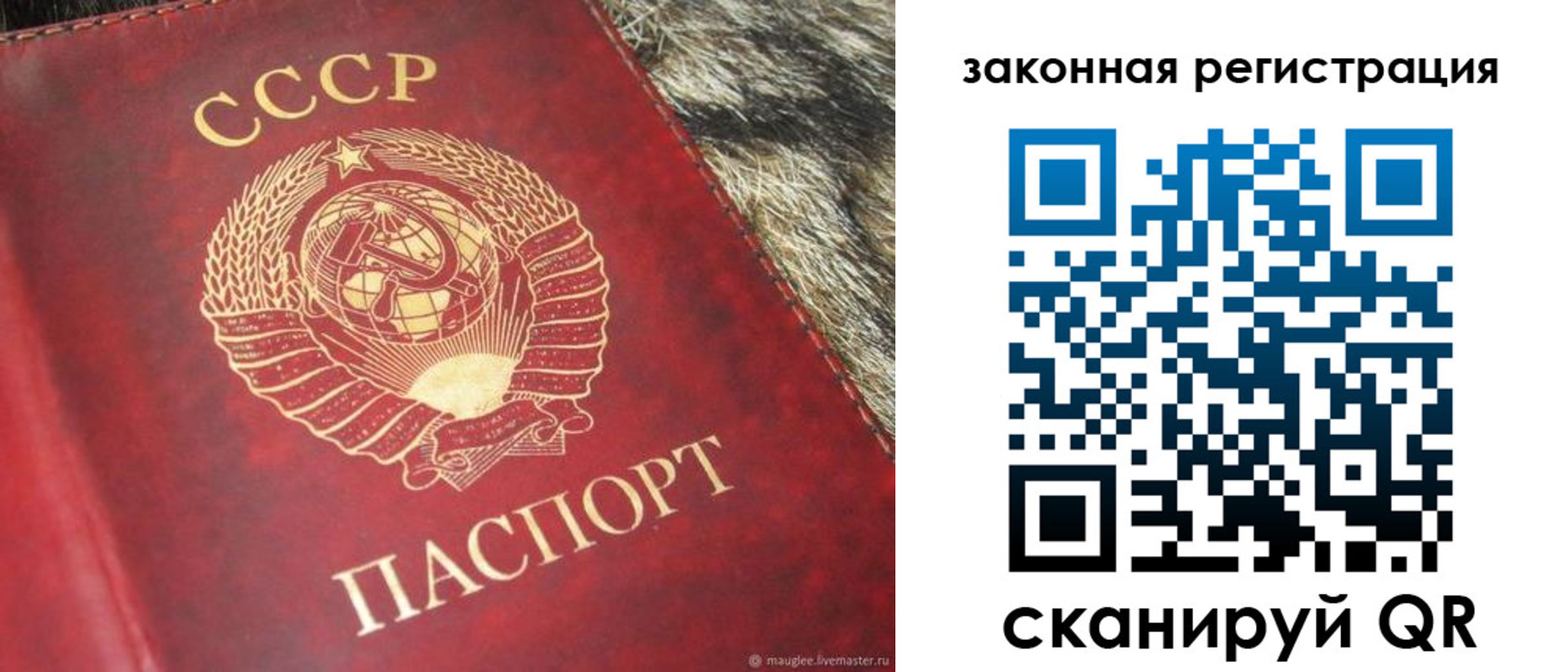 прописка от собственника в Адыгейске